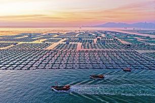 山东烟台：渔民驾驶渔船海上“冬耕”