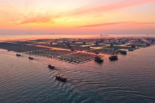 山东烟台：渔民驾驶渔船海上“冬耕”