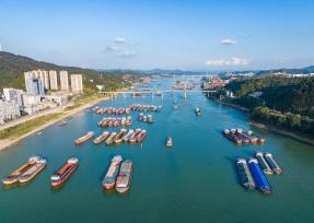 广西梧州：货船在西江航道有序航行