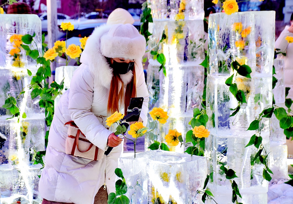 哈尔滨：“冰封玫瑰”惊艳回归