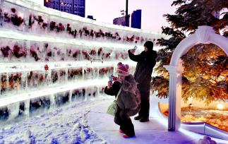 哈尔滨：“冰封玫瑰”惊艳回归