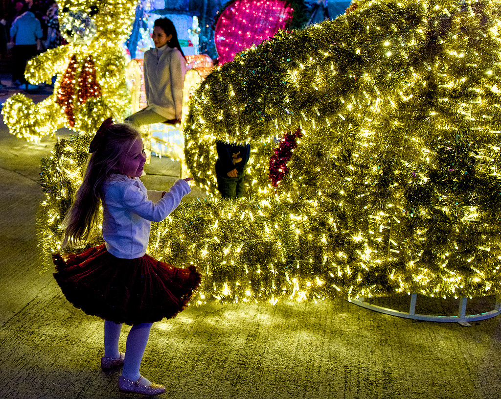 香港湾仔海滨公园灯光璀璨