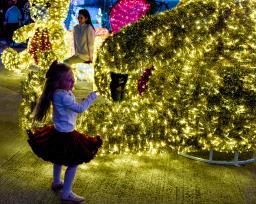 香港湾仔海滨公园灯光璀璨