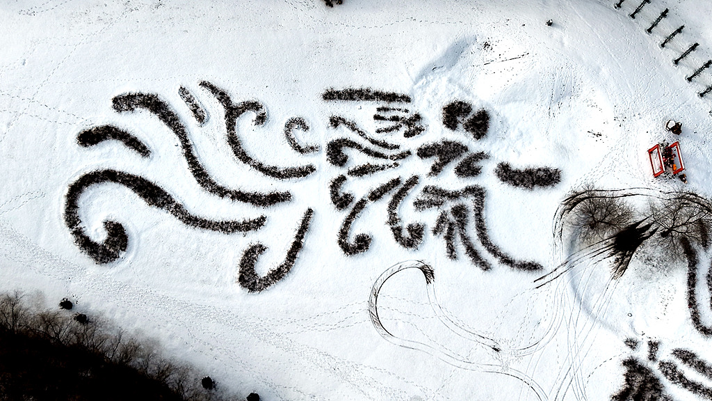 沈阳：“龙凤呈祥”创意景观亮相