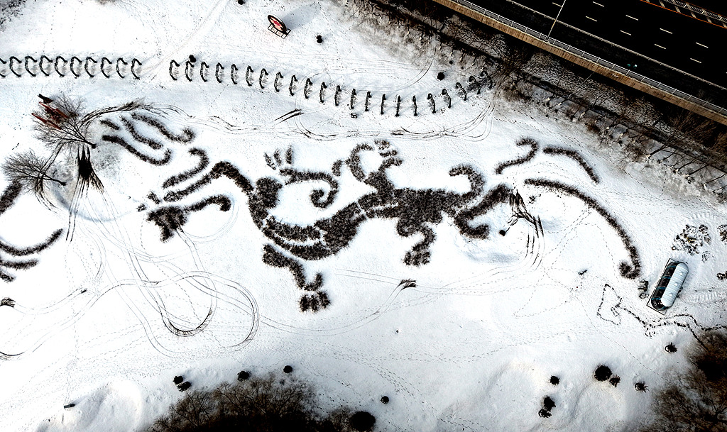 沈阳：“龙凤呈祥”创意景观亮相