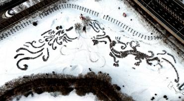 沈阳：“龙凤呈祥”创意景观亮相