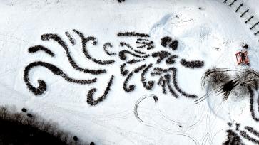 沈阳：“龙凤呈祥”创意景观亮相