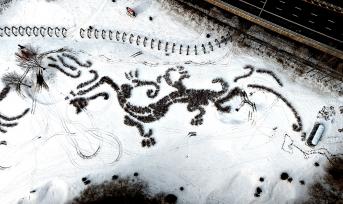 沈阳：“龙凤呈祥”创意景观亮相