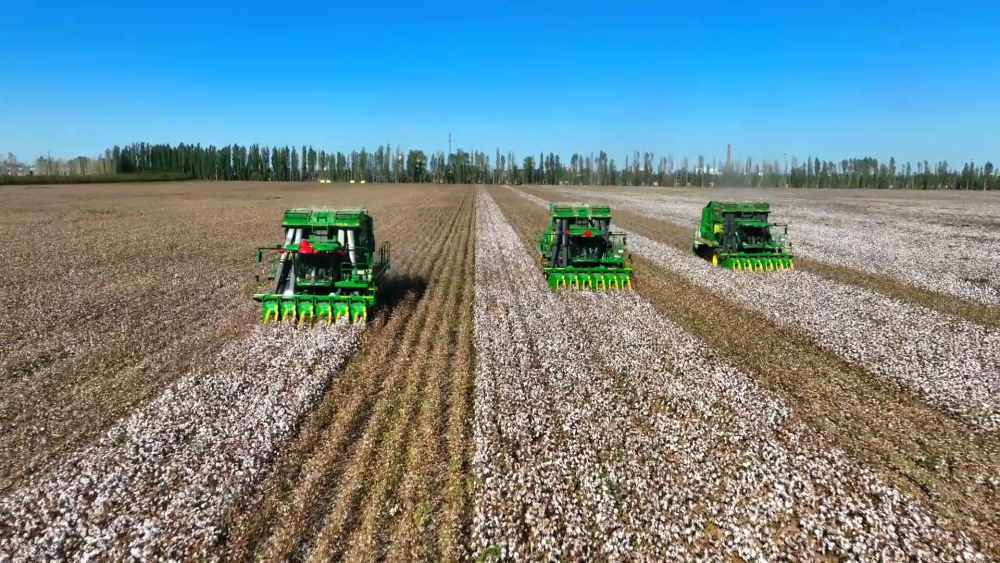 新疆棉花产量首次突破600万吨