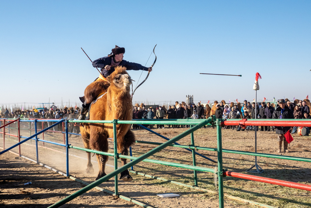 内蒙古：2025阿拉善骆驼超级联赛激战正酣