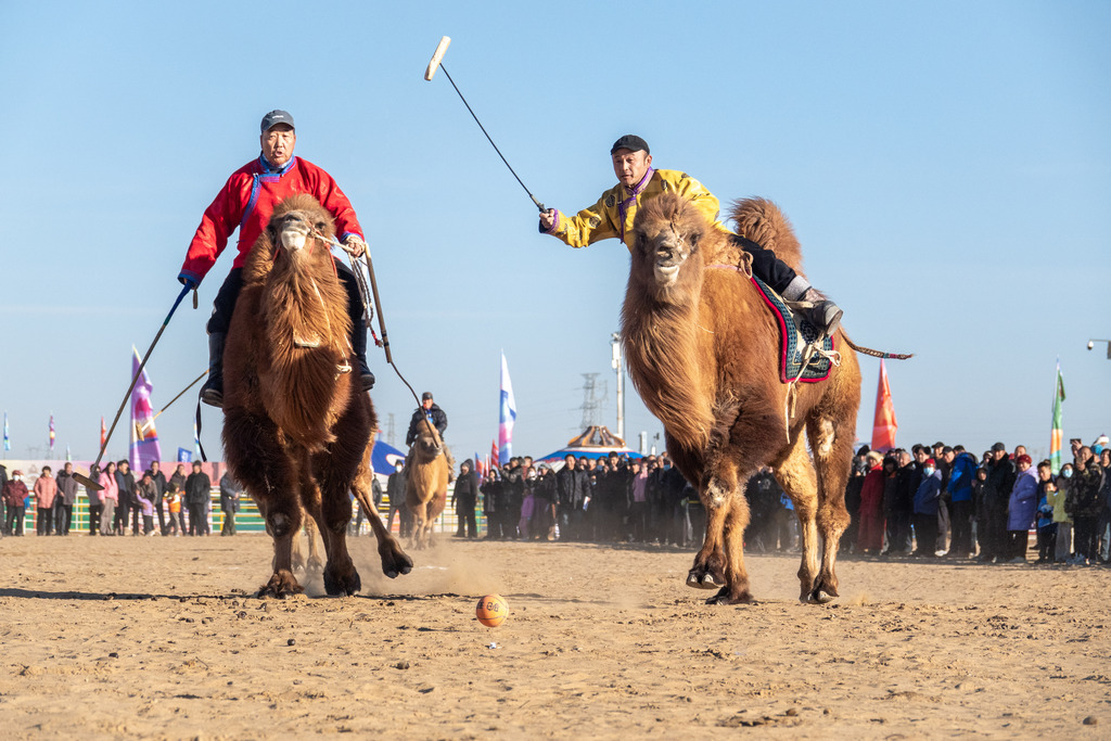 内蒙古：2025阿拉善骆驼超级联赛激战正酣
