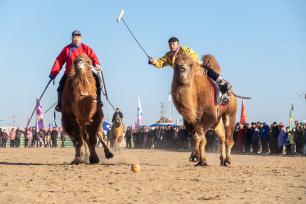 内蒙古：2025阿拉善骆驼超级联赛激战正酣