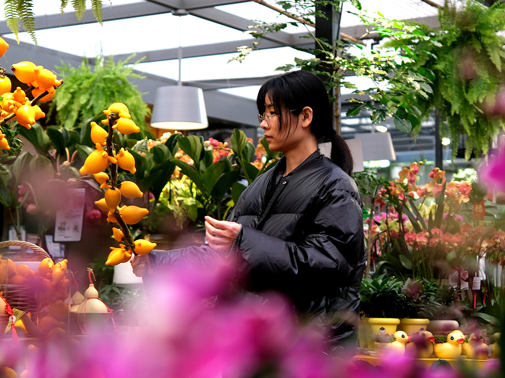 湖南长沙：顾客选购花卉迎新年