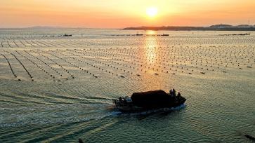 山东荣成：渔民海上忙“冬耕”