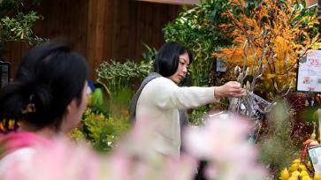 湖南长沙：顾客选购花卉迎新年