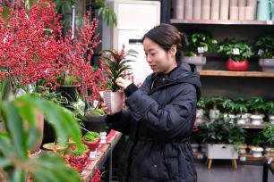 湖南长沙：顾客选购花卉迎新年