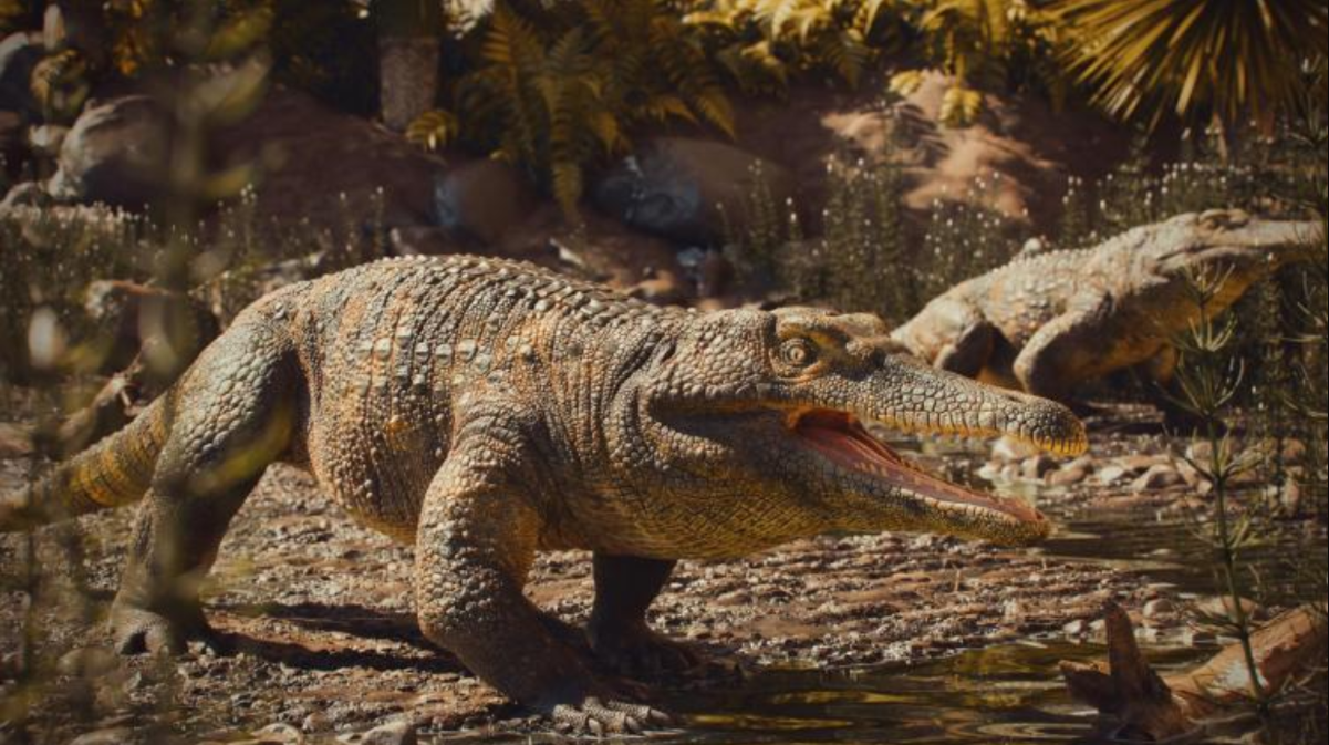 巴西发现2.37亿年前爬行动物化石 或有助于解释恐龙起源