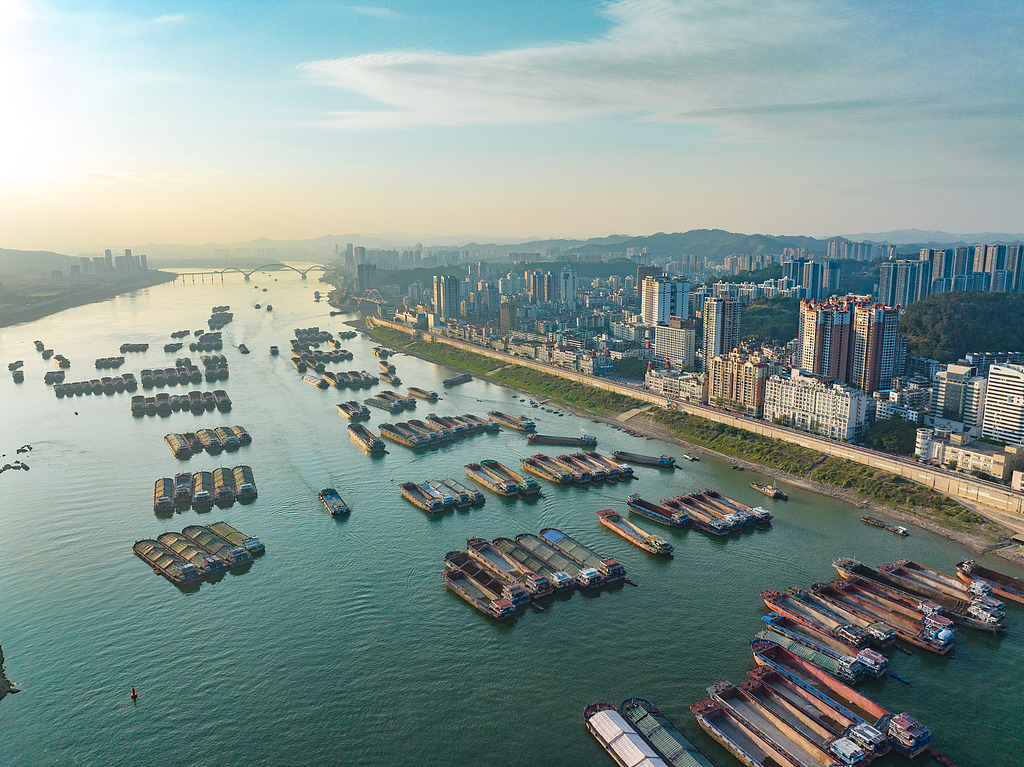 广西梧州：货船在珠江航道上有序航行