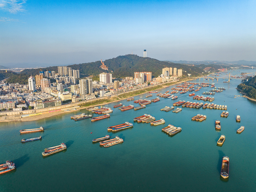 广西梧州：货船在珠江航道上有序航行
