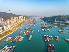 广西梧州：货船在珠江航道上有序航行