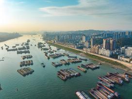 广西梧州：货船在珠江航道上有序航行