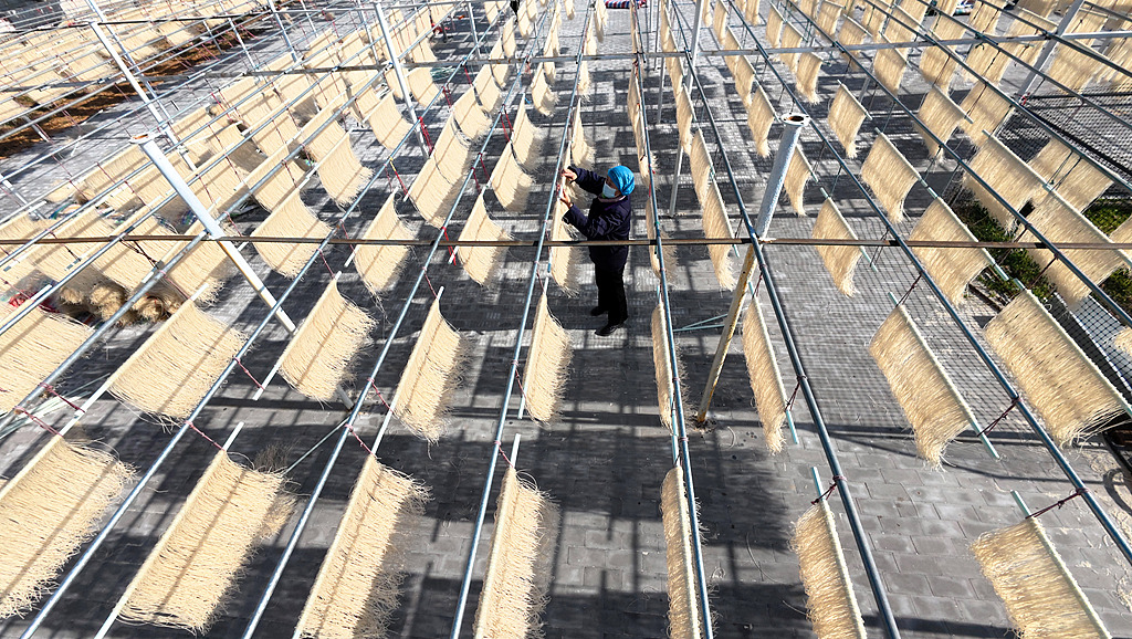 河南许昌：农民整理、晾晒红薯粉条