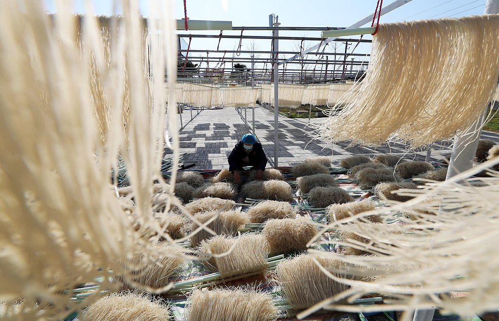河南许昌：农民整理、晾晒红薯粉条