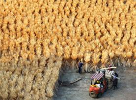 江西吉安：工作人员晾晒竹制品