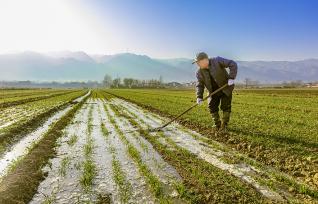 山西运城：村民在麦田劳作