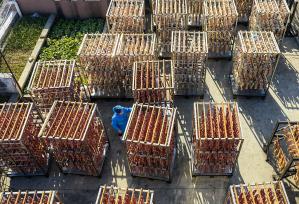 合肥：腊味飘香年味浓