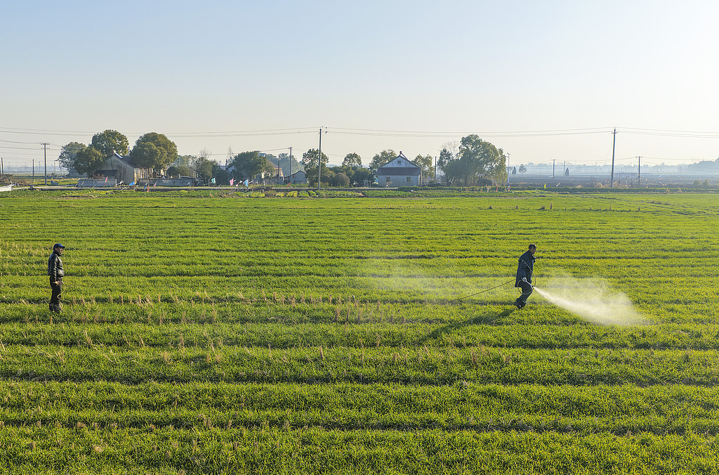 安徽芜湖：农民为小麦喷药施肥