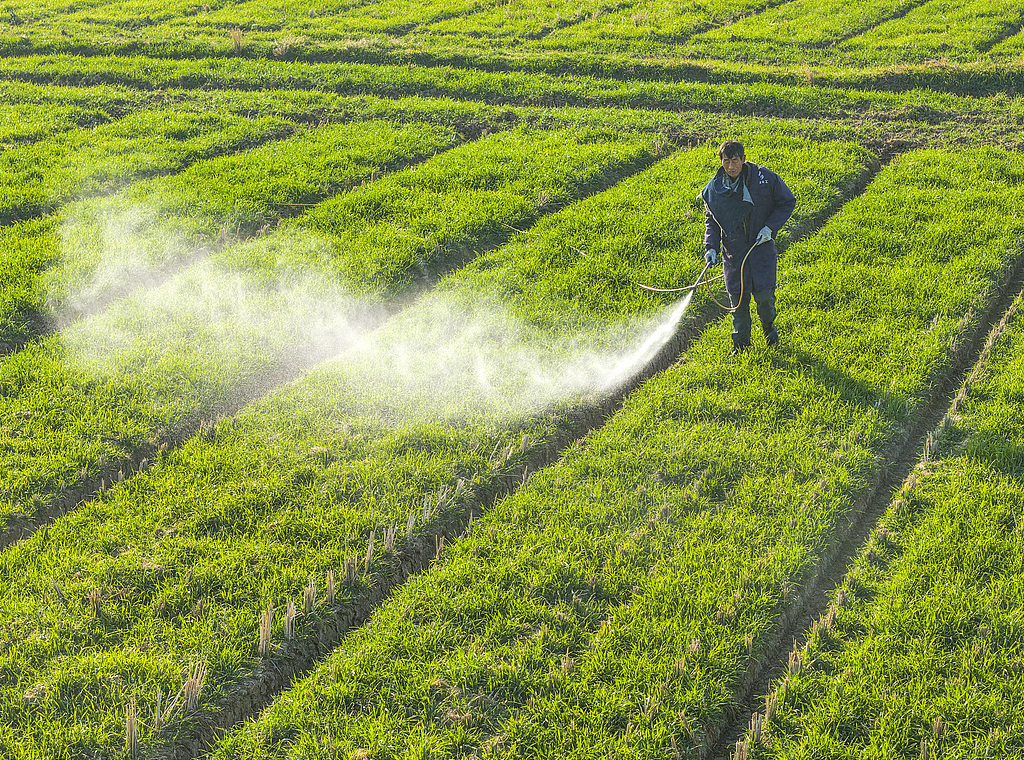 安徽芜湖：农民为小麦喷药施肥