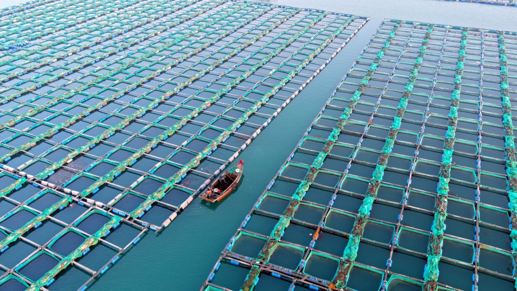 山东威海：养殖工人驾船海上冬耕