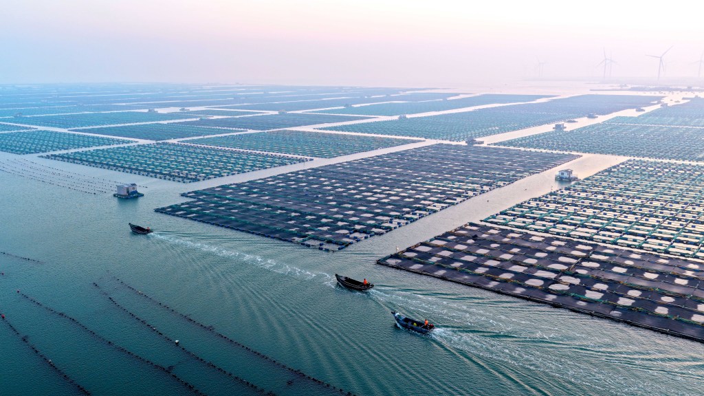 山东威海：养殖工人驾船海上冬耕