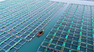 山东威海：养殖工人驾船海上冬耕