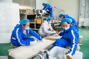 贵州安龙：工作人员加工粉条供应市场