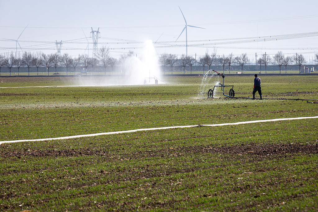 河南安阳：农户冬灌补水润麦田