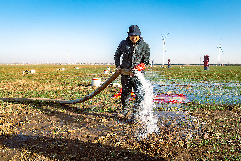 河南安阳：农户冬灌补水润麦田