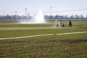 河南安阳：农户冬灌补水润麦田