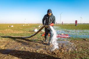 河南安阳：农户冬灌补水润麦田
