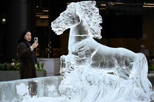 北京街头马元素冰雕吸引市民观赏