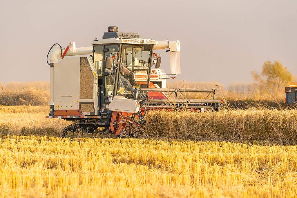 “老把式”种地 新招式不少（贯彻四中全会精神一线见闻）