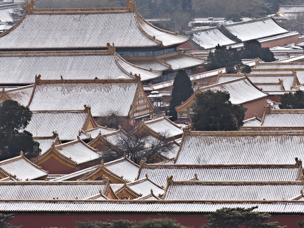 故宫红墙黄瓦覆白雪