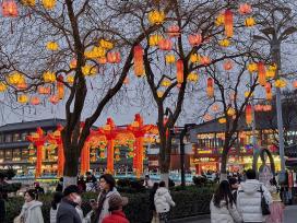 江苏南京：夫子庙彩灯流光溢彩 年味十足