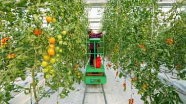 江苏泗洪：智慧农业赋能乡村振兴