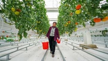 江苏泗洪：智慧农业赋能乡村振兴