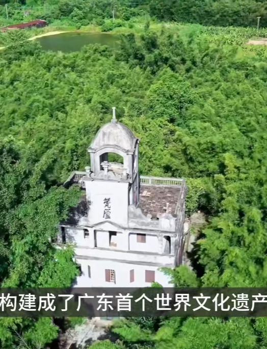 赵川：百万华侨从这里走出广东，村村修碉楼到底为了什么？