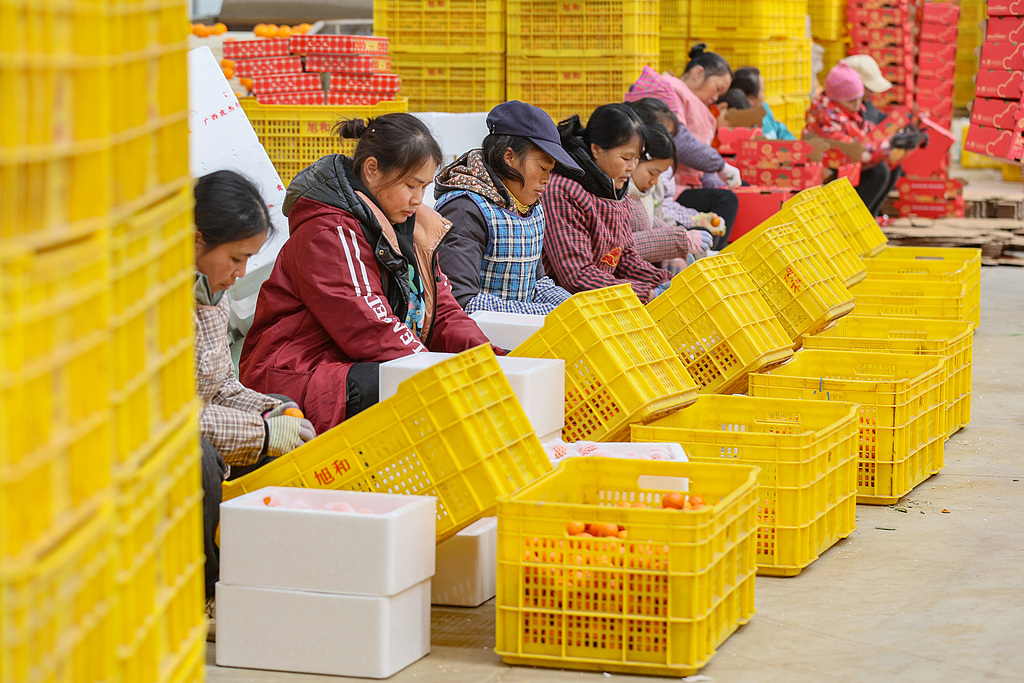 广西贺州：春节临近 水果迎来销售高峰
