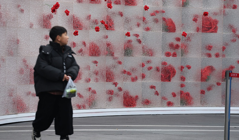 成都街头“冰封玫瑰”墙吸引市民观赏