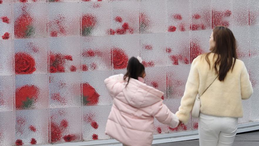 成都街头“冰封玫瑰”墙吸引市民观赏